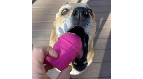 SodaPup Ice Cream - Image 5