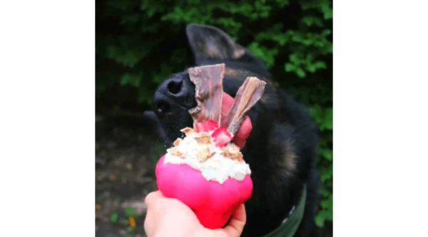 SodaPup Muffin - Image 2