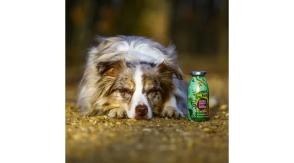 SmoothieDog - Zöldség smoothie kutyáknak 250ml - Image 6