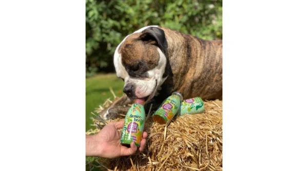 SmoothieDog - Zöldség smoothie kutyáknak 250ml - Image 5