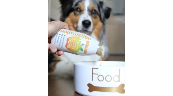 SmoothieDog - Immunerősítő smoothie kutyáknak 250ml - Image 3