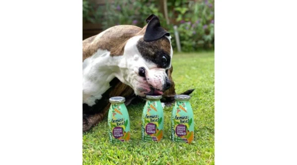 SmoothieDog - Zöldség smoothie kutyáknak 250ml - Image 3