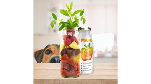SmoothieDog - Immunerősítő smoothie kutyáknak 250ml - Image 2
