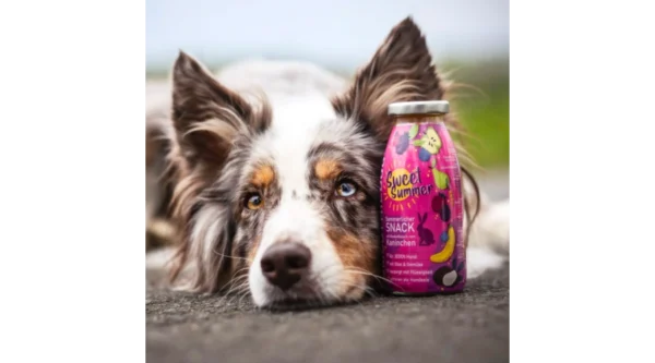 SmoothieDog - Nyúlhús smoothie kutyáknak 250 ml - Image 2